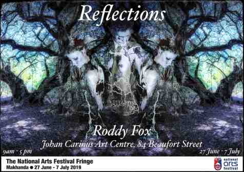Reflections Poster #NAF19: Symmetry Study